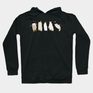 Penguins Hoodie